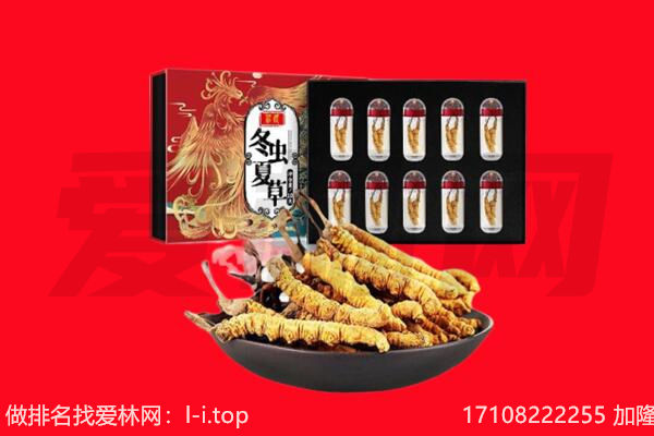 婺源县回收虫草.jpg